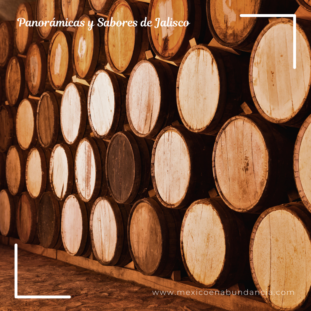 Panorámicas y Sabores de Jalisco 8
