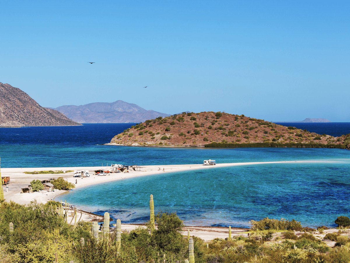 T Caribe 4