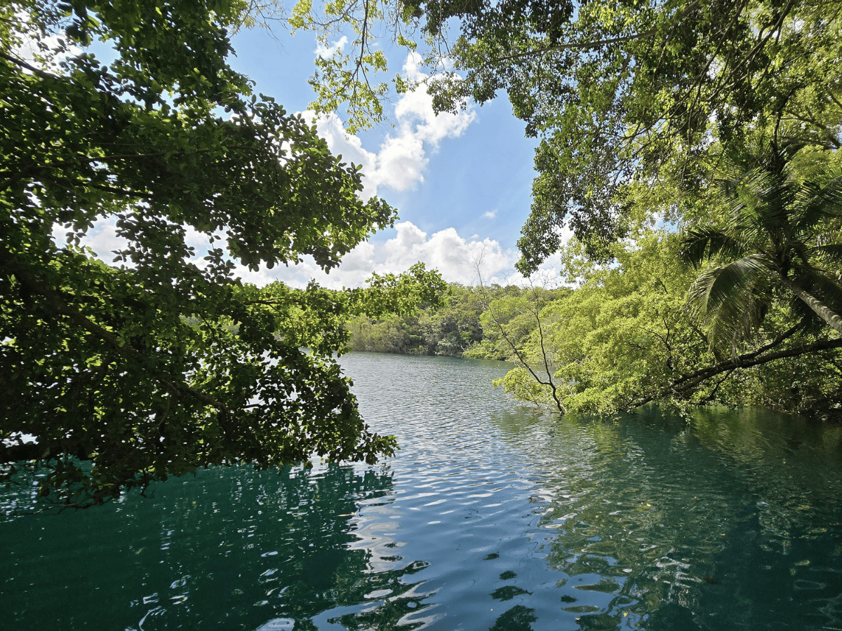 T Caribe 27